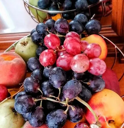 乔治船长公寓 锡米